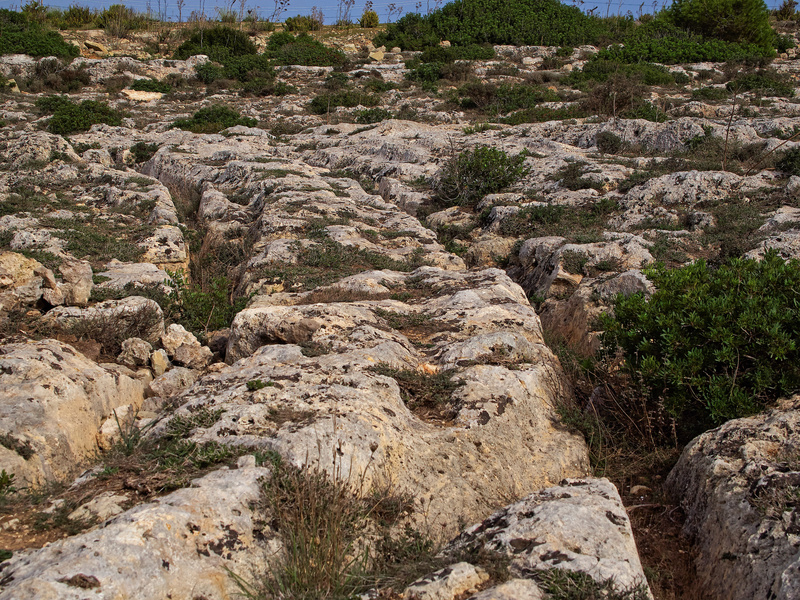 Clapham Junction, Cart Ruts
        (Prehistoric)